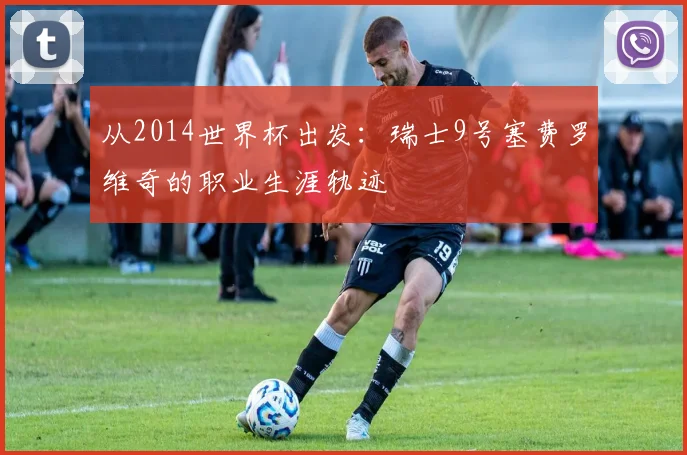 从2014世界杯出发：瑞士9号塞费罗维奇的职业生涯轨迹