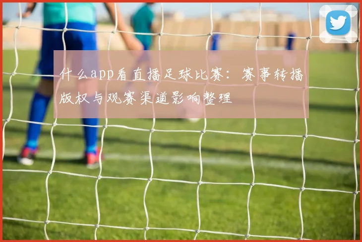 什么app看直播足球比赛：赛事转播版权与观赛渠道影响整理