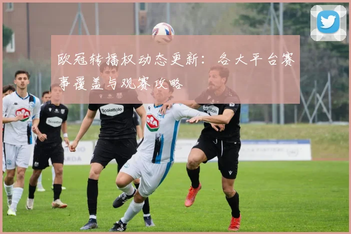 欧冠转播权动态更新：各大平台赛事覆盖与观赛攻略