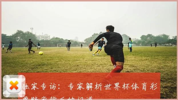 独家专访:专家解析世界杯体育彩票赔率背后的门道