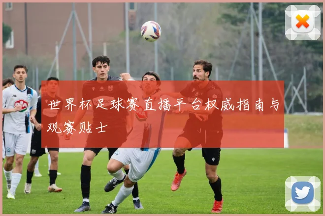 世界杯足球赛直播平台权威指南与观赛贴士