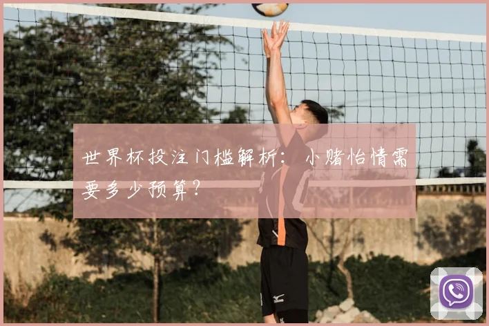 世界杯投注门槛解析：小赌怡情需要多少预算？