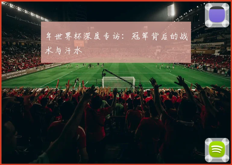 年世界杯深度专访：冠军背后的战术与汗水