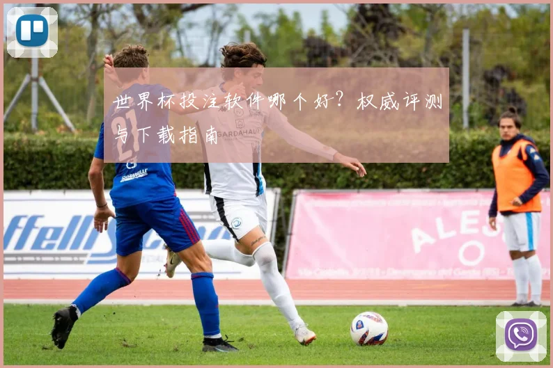 世界杯投注软件哪个好?权威评测与下载指南