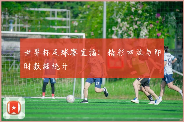 世界杯足球赛直播：精彩回放与即时数据统计