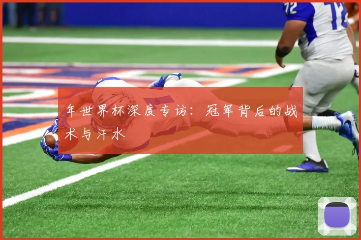 年世界杯深度专访：冠军背后的战术与汗水